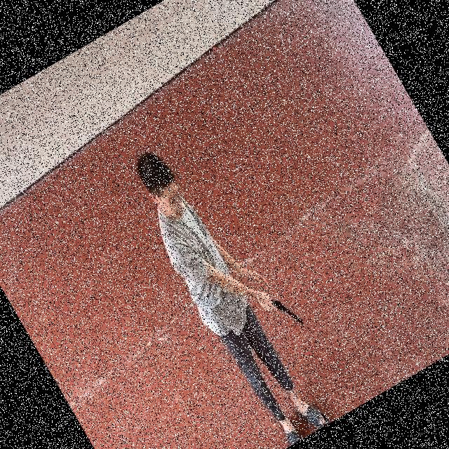 Dataset Image