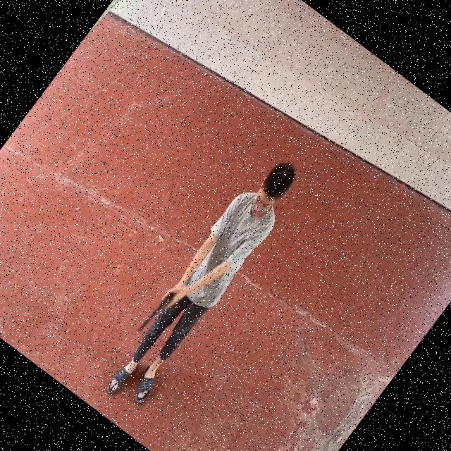 Dataset Image