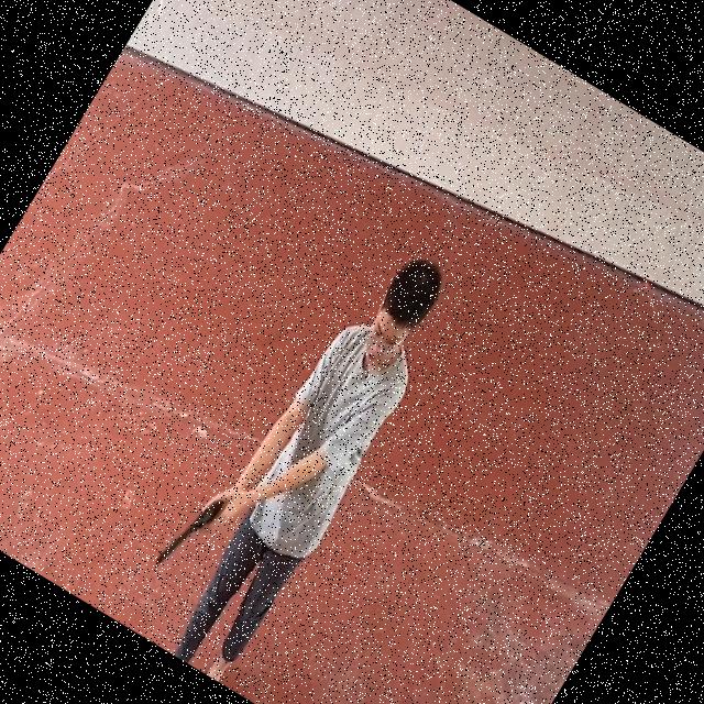 Dataset Image