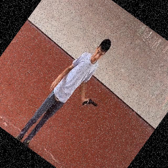 Dataset Image