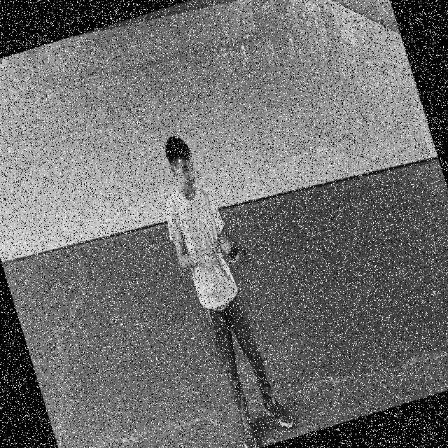 Dataset Image
