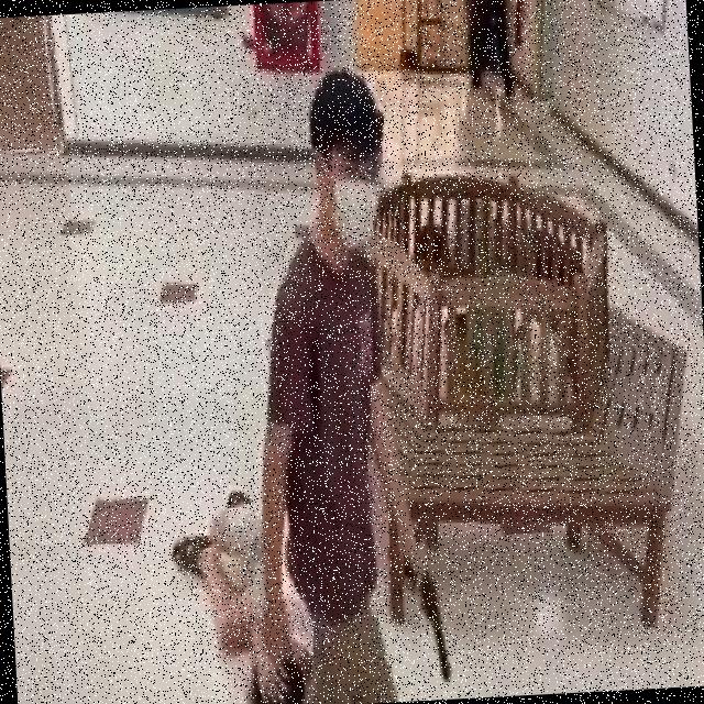 Dataset Image