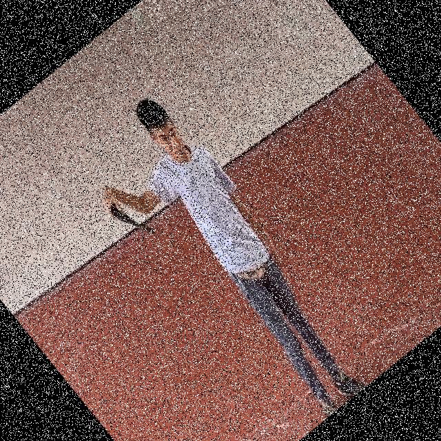 Dataset Image