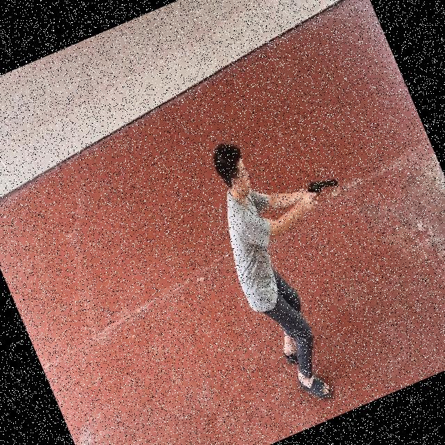 Dataset Image
