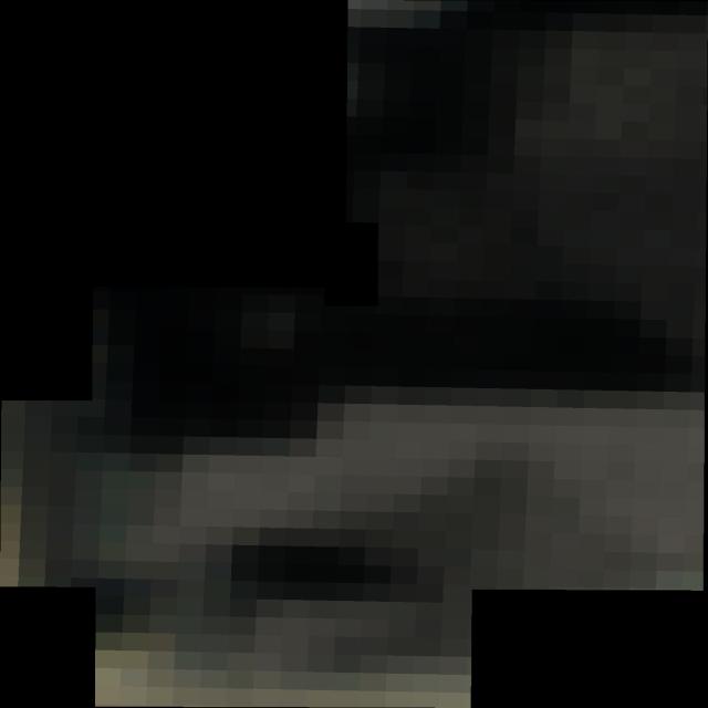 Dataset Image