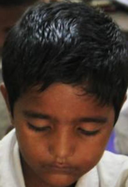 Dataset Image