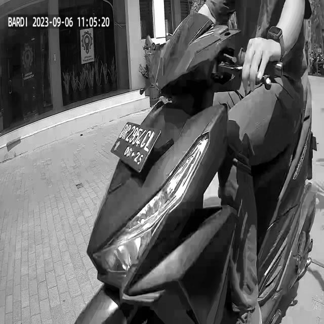 Dataset Image