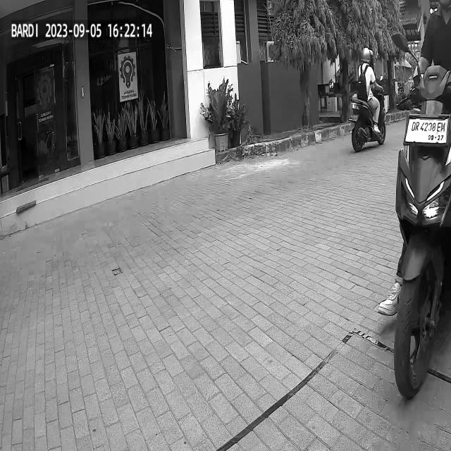 Dataset Image