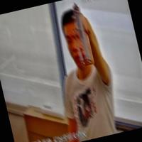 Dataset Image