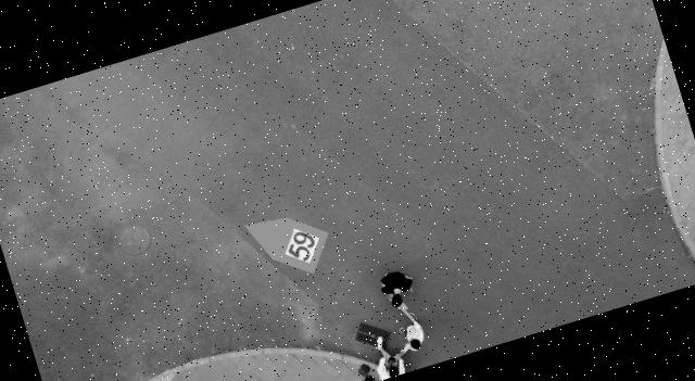 Dataset Image