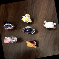 Dataset Image