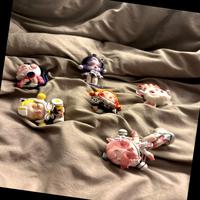 Dataset Image