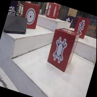 Dataset Image