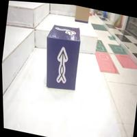 Dataset Image