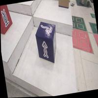 Dataset Image