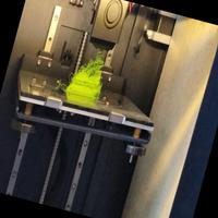 Dataset Image