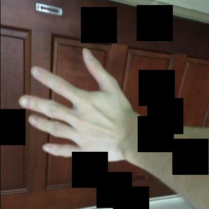 Dataset Image