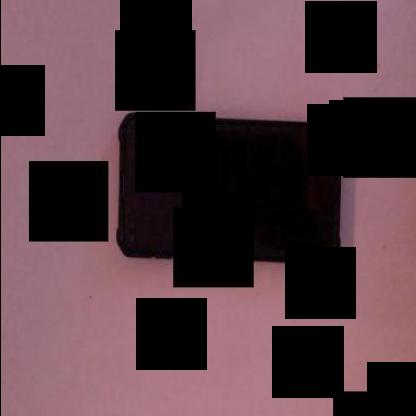 Dataset Image
