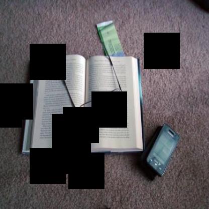 Dataset Image