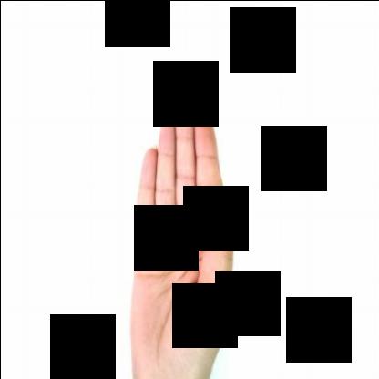 Dataset Image