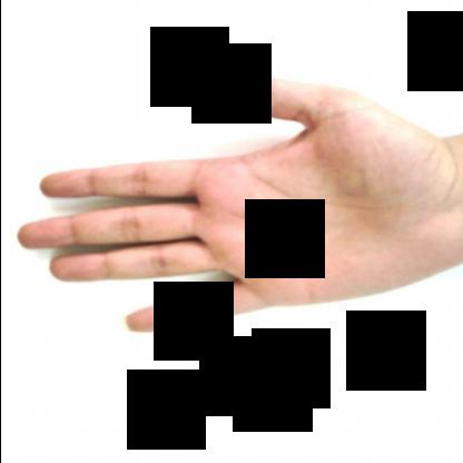 Dataset Image