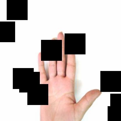 Dataset Image