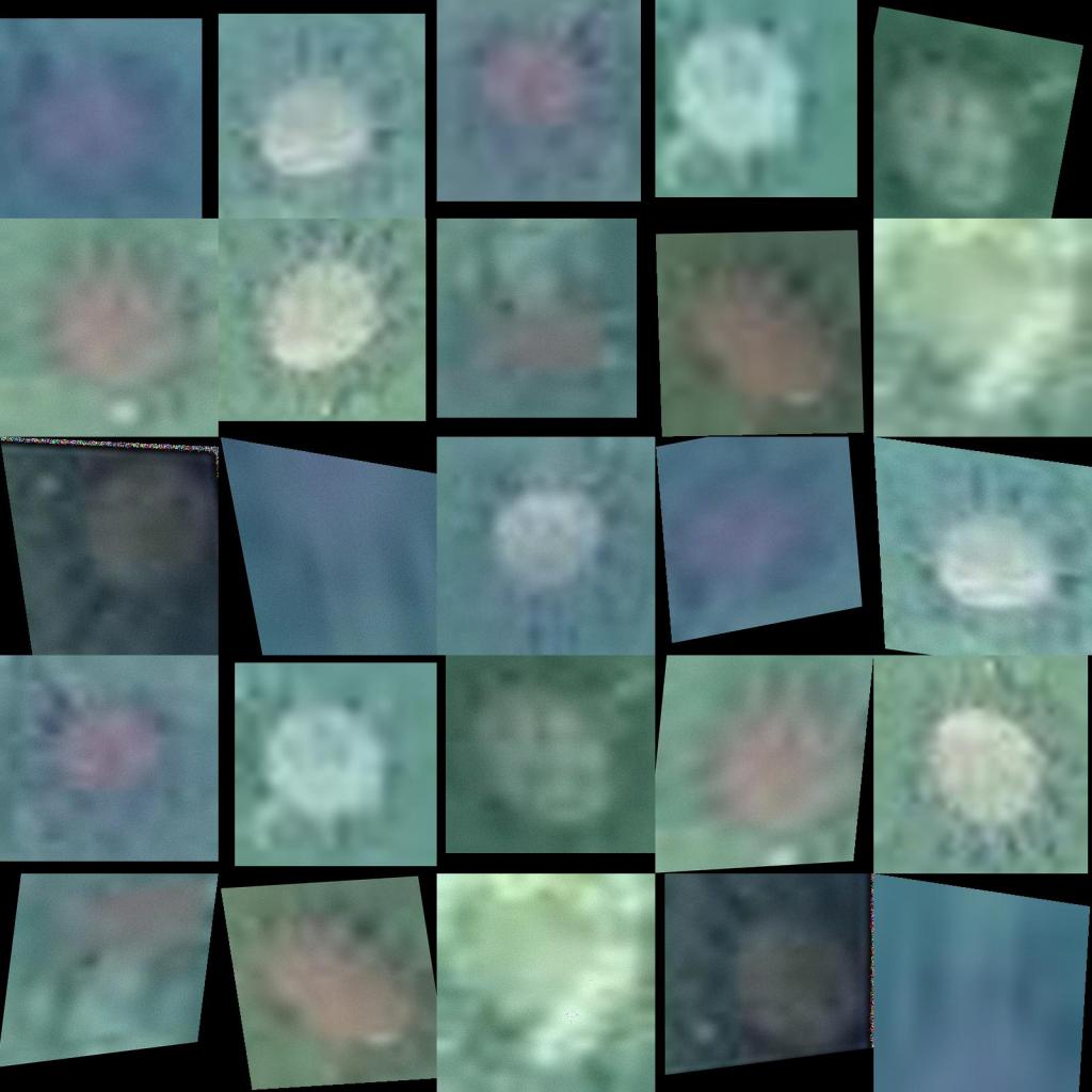 Dataset Image