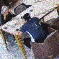 Dataset Image