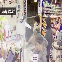 Dataset Image