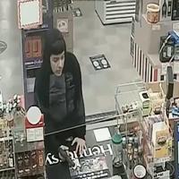 Dataset Image