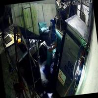 Dataset Image