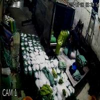 Dataset Image