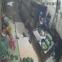 Dataset Image
