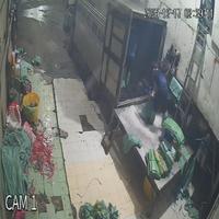 Dataset Image