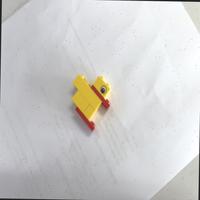 Dataset Image