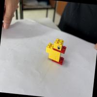 Dataset Image