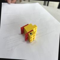 Dataset Image