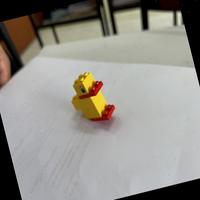 Dataset Image