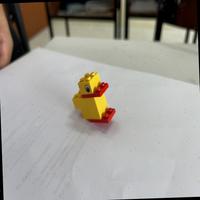 Dataset Image