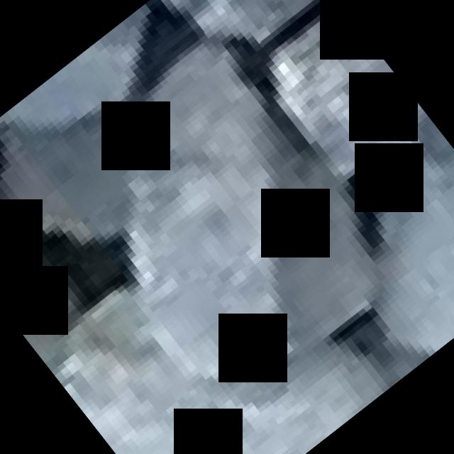 Dataset Image