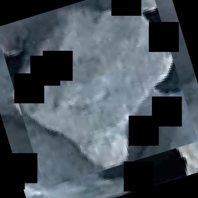 Dataset Image