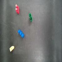 Dataset Image