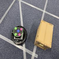 Dataset Image