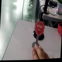 Dataset Image