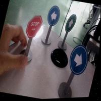 Dataset Image