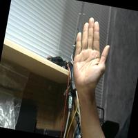 Dataset Image
