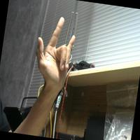 Dataset Image