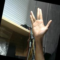 Dataset Image
