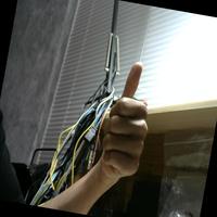 Dataset Image