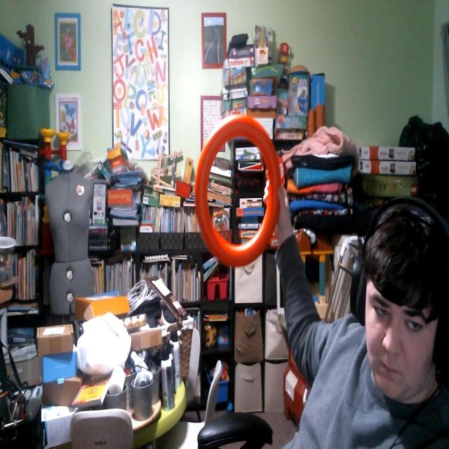 Dataset Image